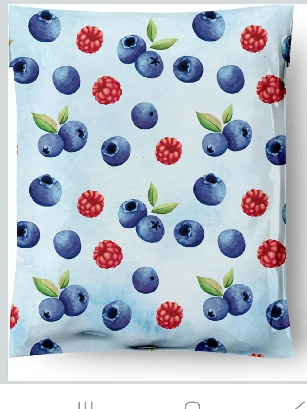 15 ct 10x13 Blueberry & Raspberry polymailers